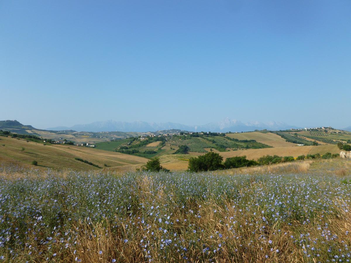 Il Frutteto Bed And Breakfast Ripattone Exteriér fotografie