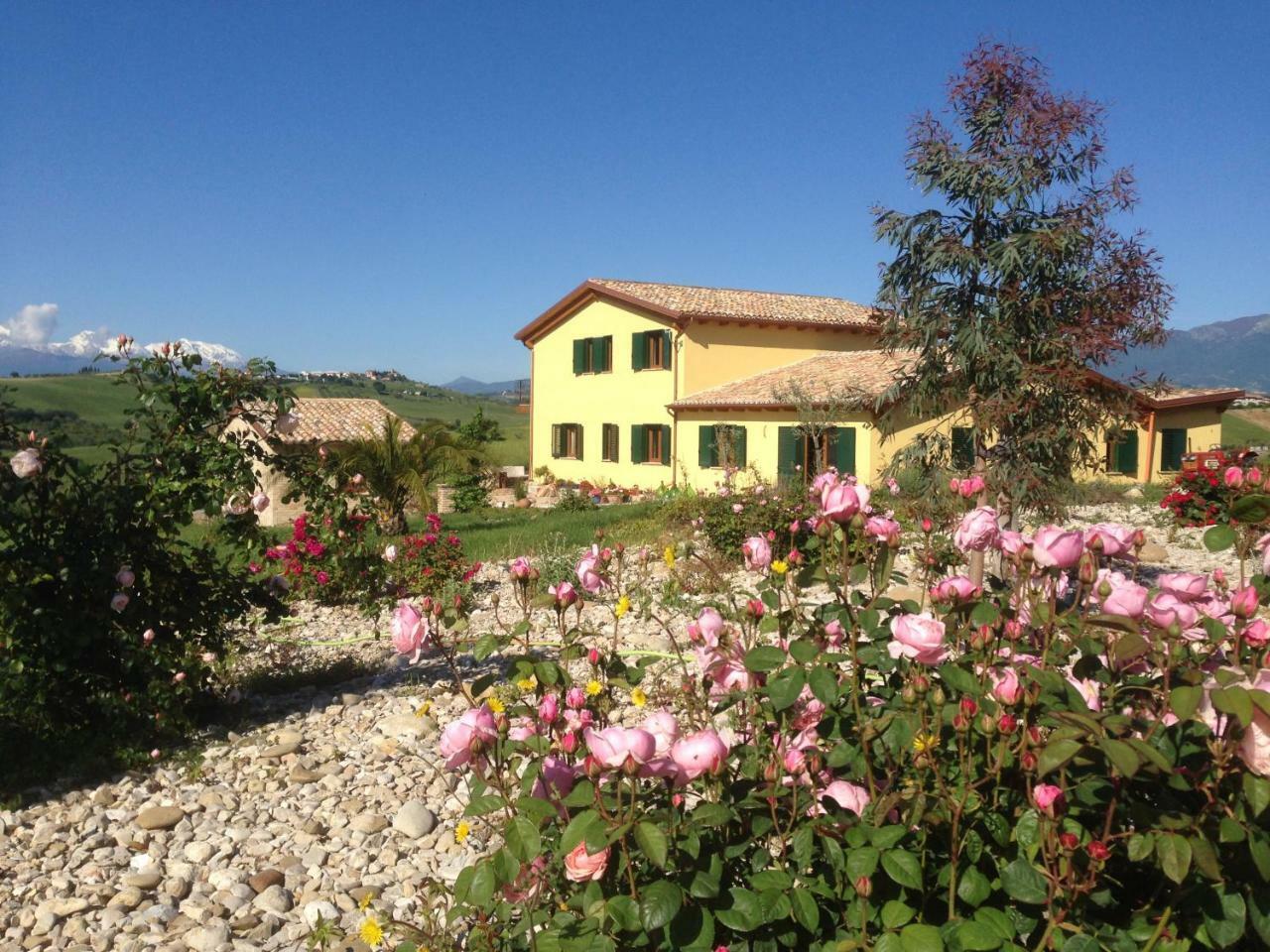 Il Frutteto Bed And Breakfast Ripattone Exteriér fotografie